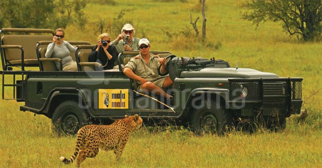 Safari in South Africa. Photo: Manorama