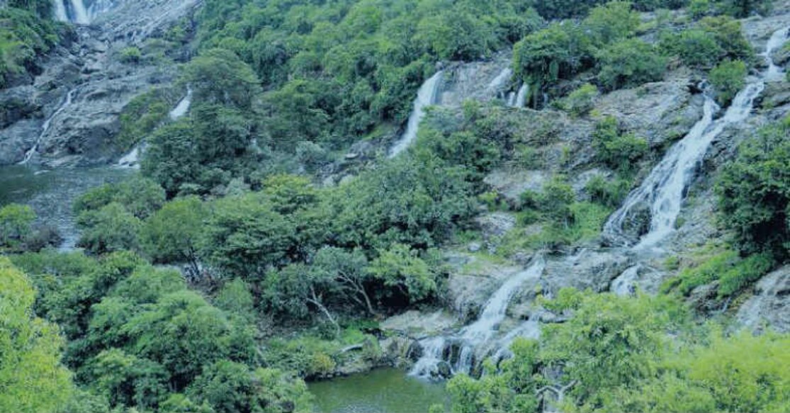 Shivanasamudra Falls: Serving up a visual treat. Photo: Onmanorama