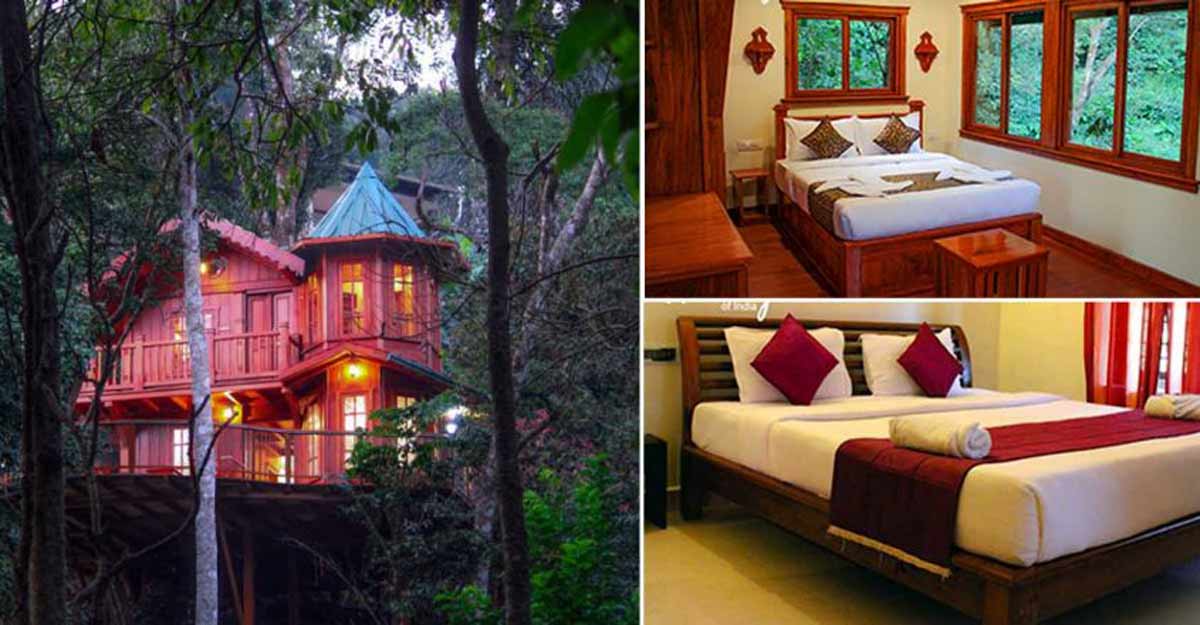 Visit Coorg to experience the thrill of staying in wilderness