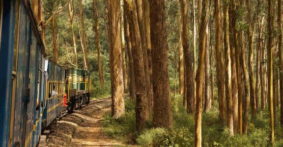 Make the most of your long weekends by taking mini-vacations through 2021 Make the most of your long weekends by taking mini-vacations through 2021