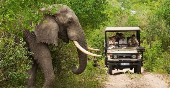 Three South Africa inspired activities to bond over in 2021 | Travel ...