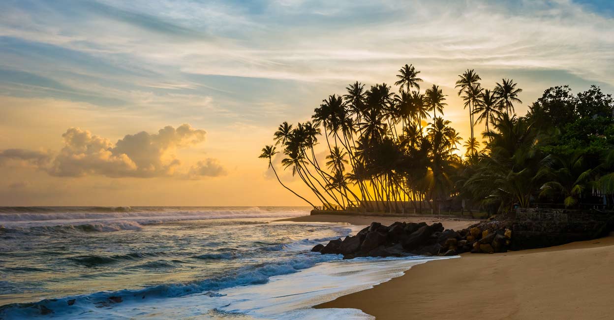 Wallpaper palm trees, the ocean, shore, Sri-lanka for mobile and desktop,  section природа, resolution 2560x1597 - download