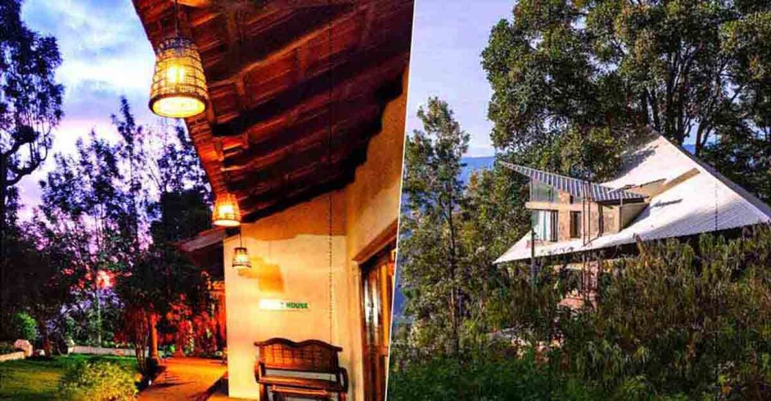 Oland Plantation in Ooty