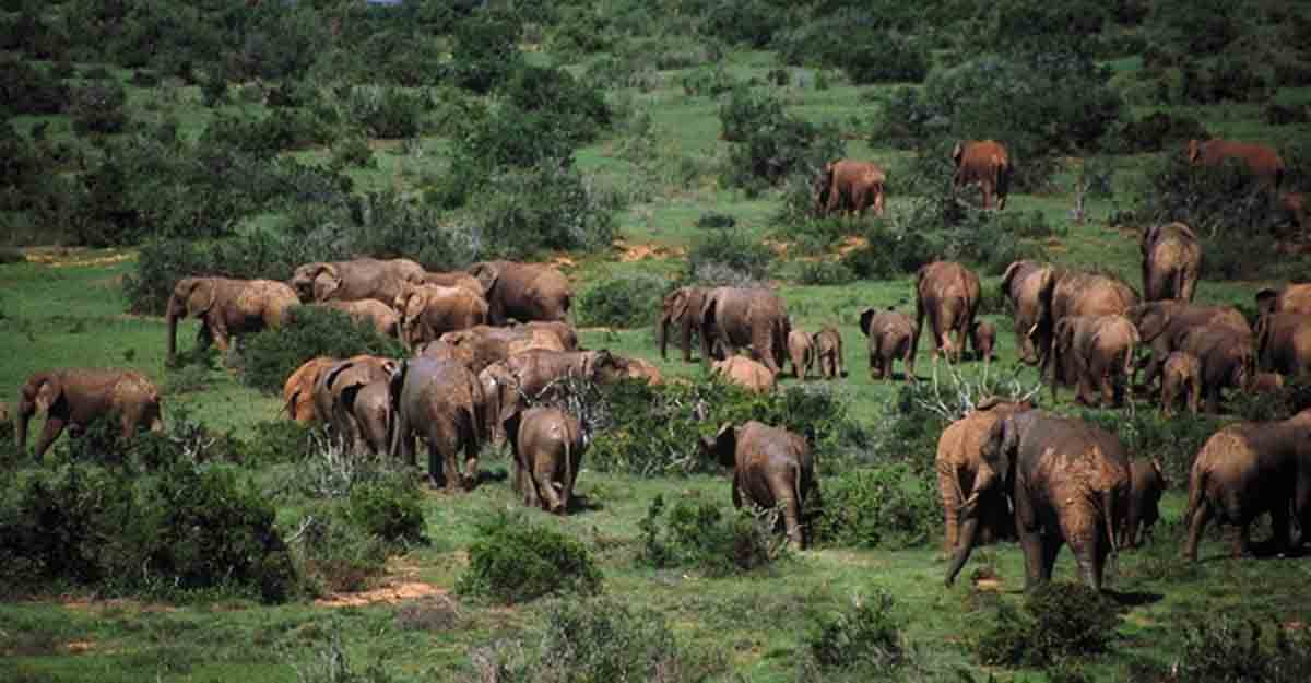 A guide to South Africa: Treat your five senses in the Rainbow Nation