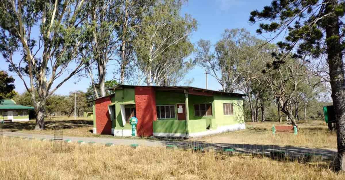 It's as safe as a house to stay in wilderness at Bandipur Tiger Reserve in Karnataka It's as safe as a house to stay in wilderness at Bandipur Tiger Reserve in Karnataka