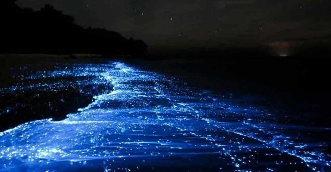 Glittering tides and quiet times: Goa's amazing sea chronicles