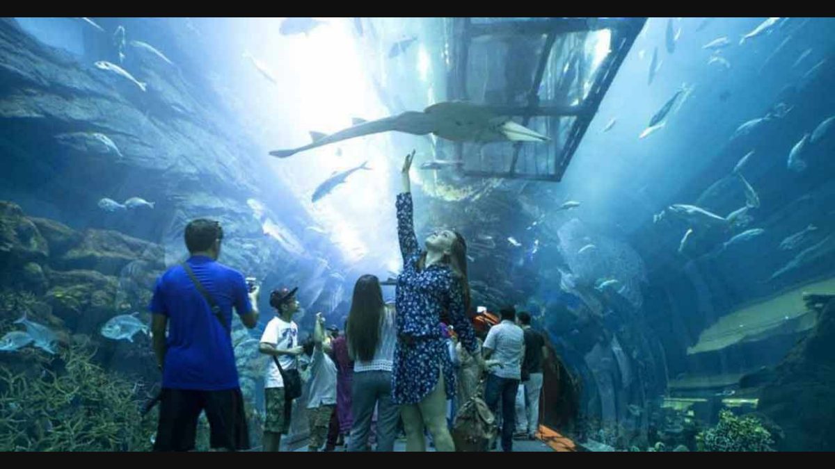 Dubai Underwater Slide