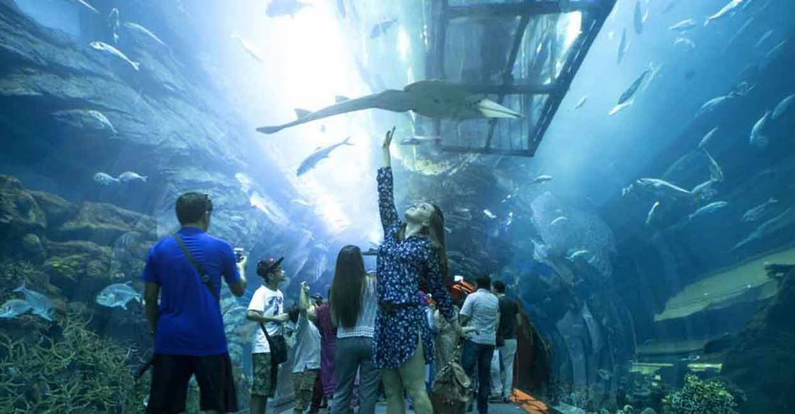 The astonishing spectacle at Dubai aquarium and underwater zoo