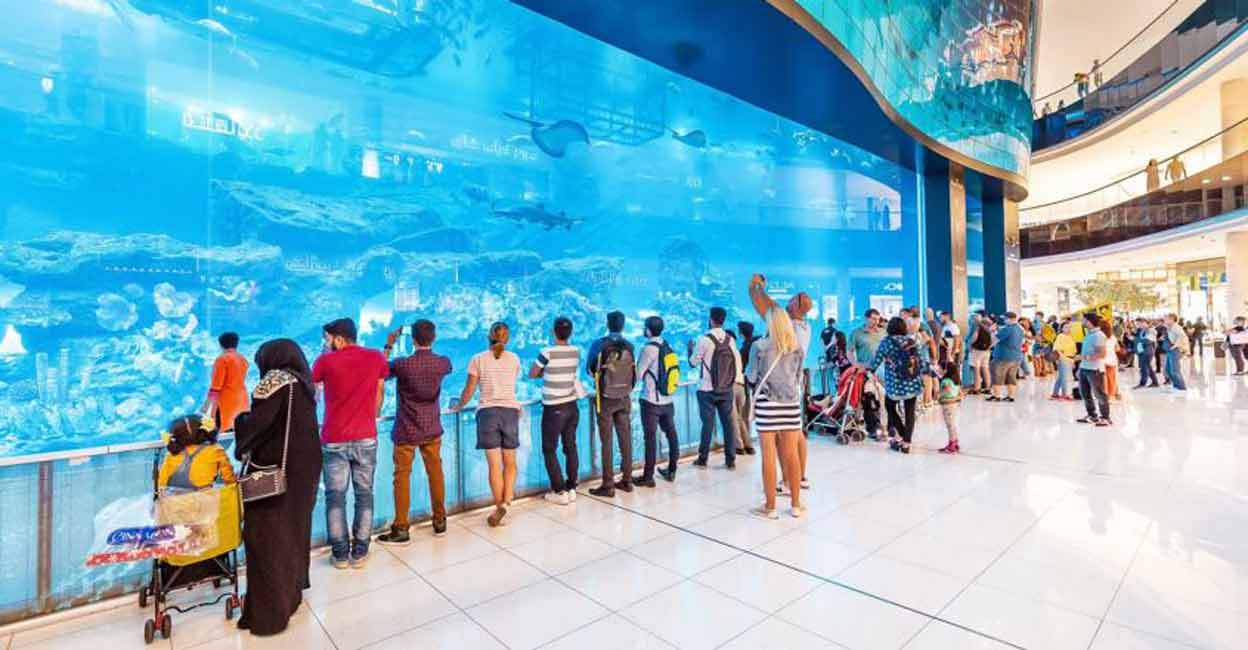 dubai-aquarium-2 dubai-aquarium-2