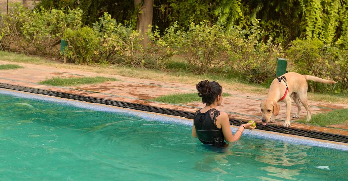 Top pet-friendly hotels and resorts in India