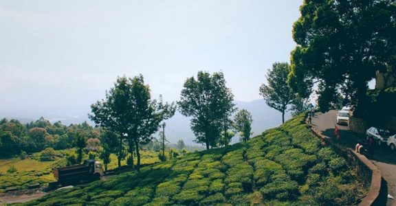 5 stunning Indian destinations for remote work.(photo:IANSLIFE) 5 stunning Indian destinations for remote work.(photo:IANSLIFE)