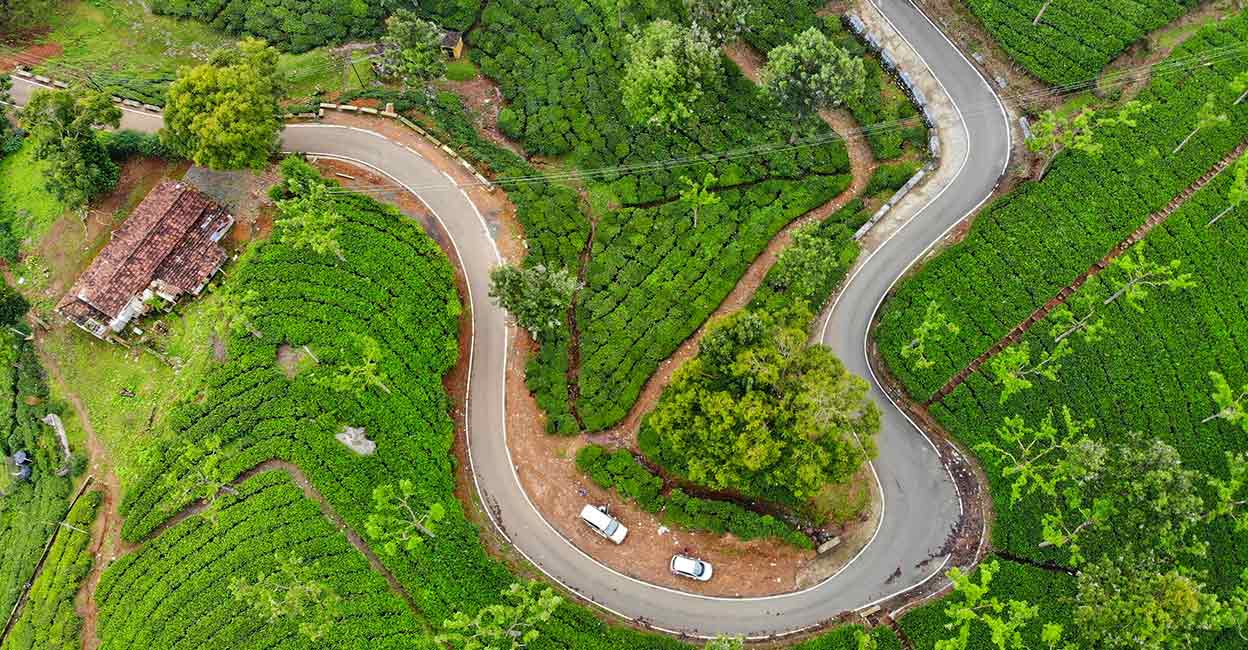 ooty-curvy-road Ooty - Curvy Road. Photo: Shutterstock/ Sagar Keluskar