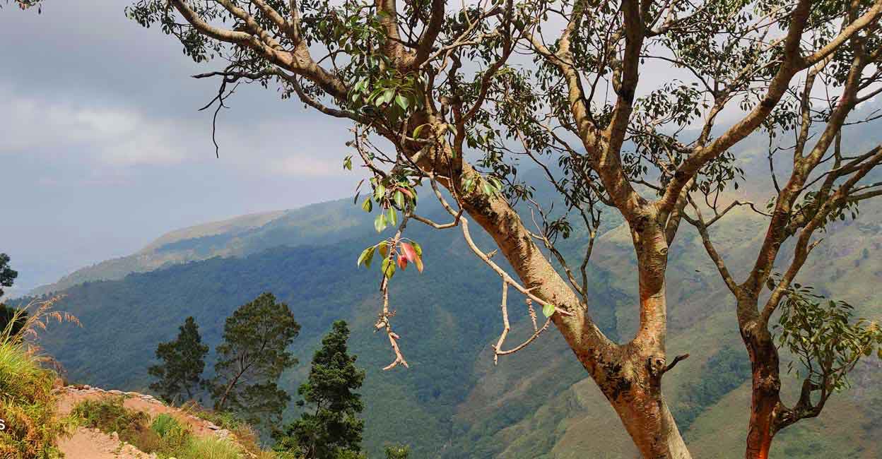 Photo: Prasanth Vasudev