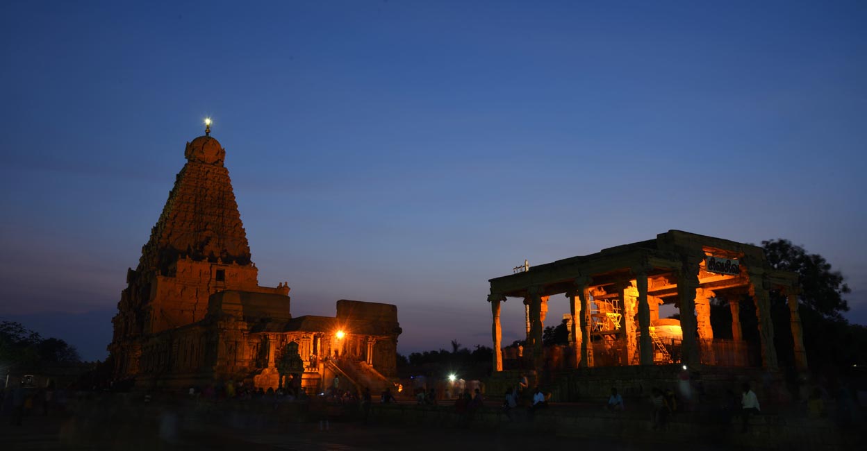 Wander through the world’s second largest mangrove forest in TN’s ...