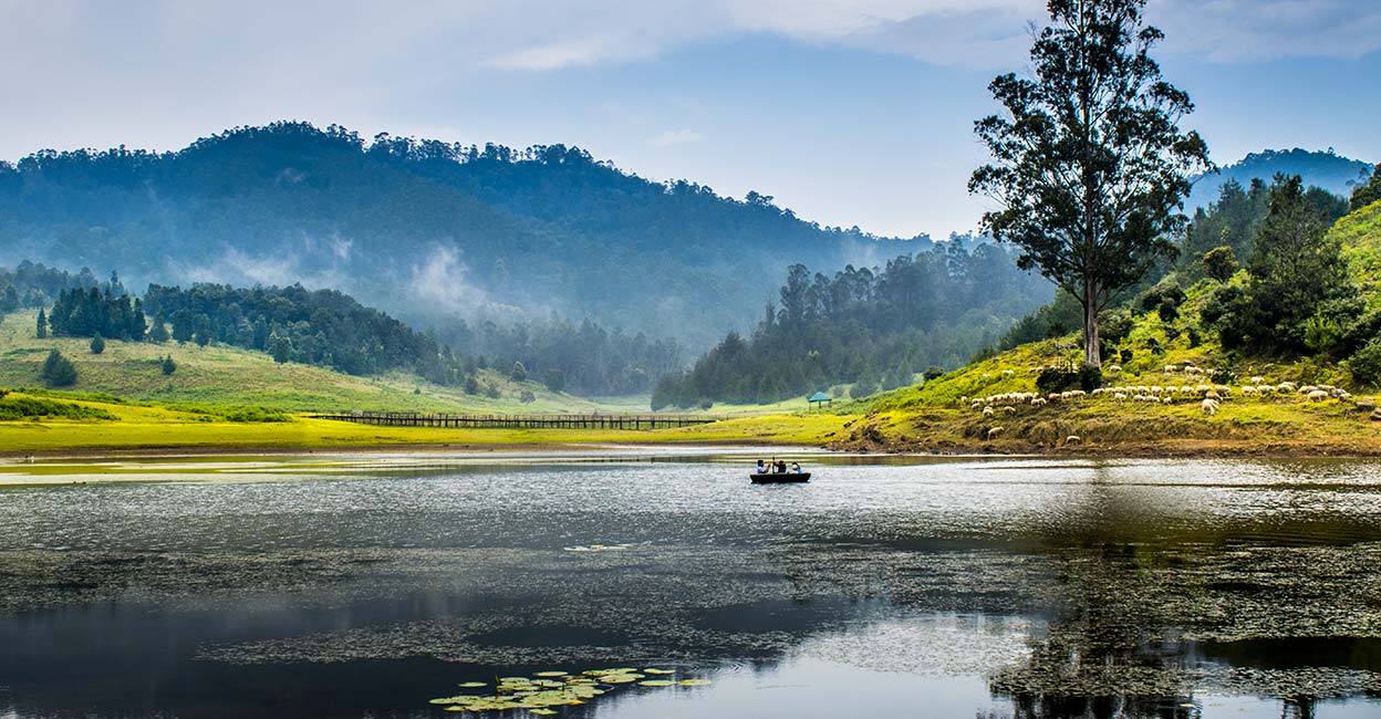 kodaikanal Kodaikanal, Tamil Nadu. Photo: Shutterstock/Srinivasan Gajendran