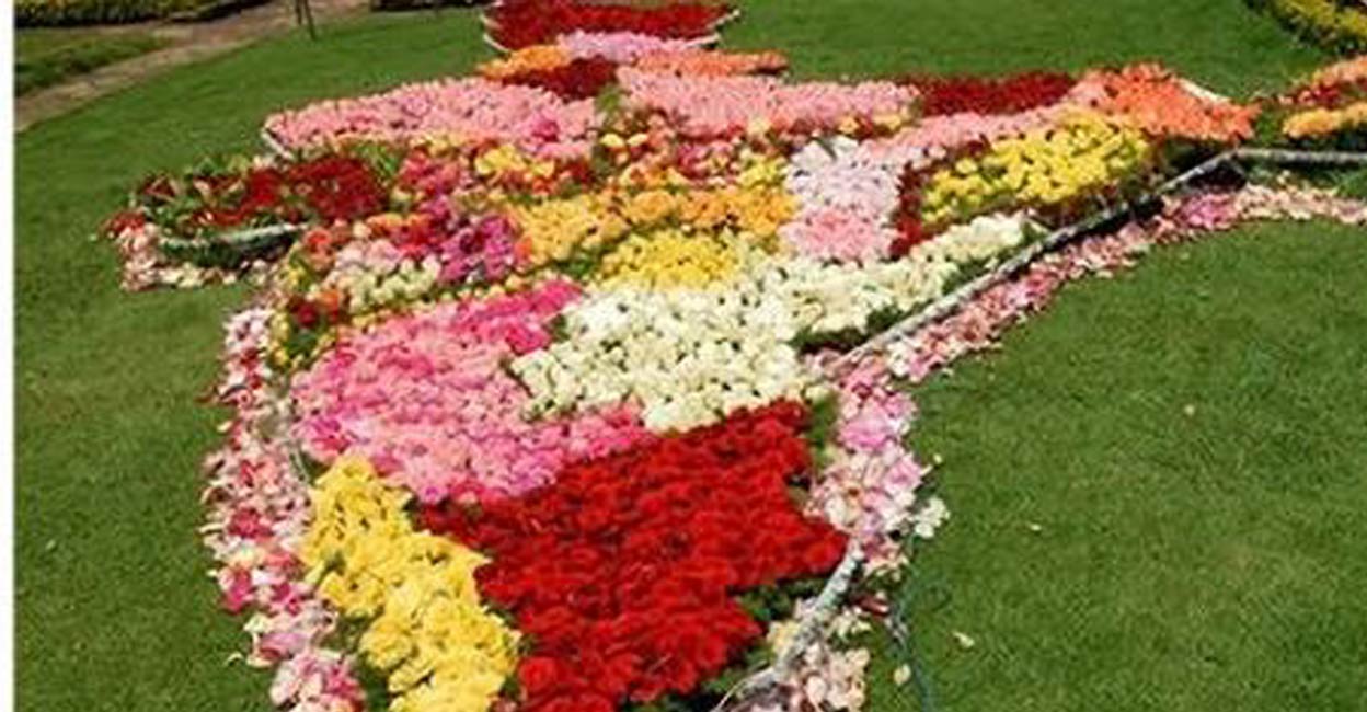 Rose show