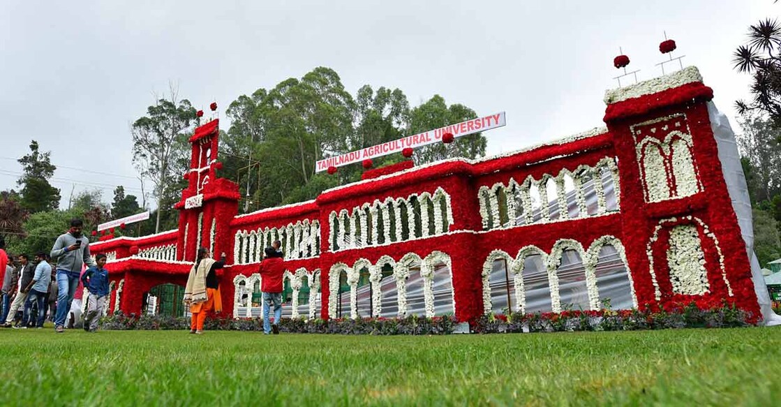 ooty-flower-show8