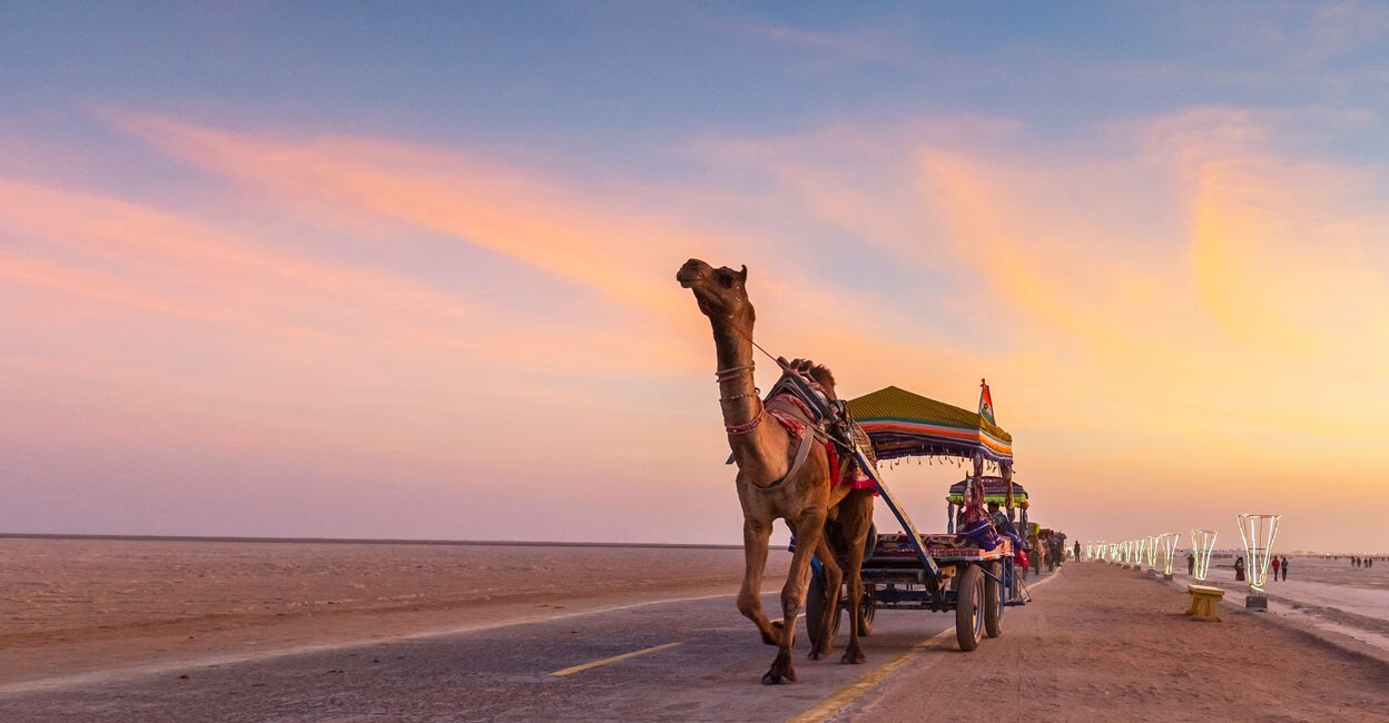 kutch-gujarat Kutch, Gujarat. Photo: Shutterstock/Dchauy