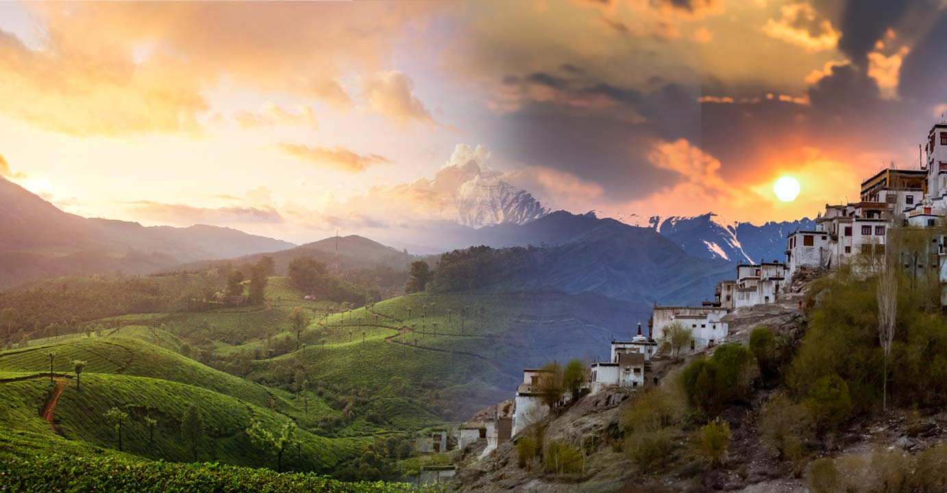 Photos: Shutterstock/Nina Lishchuk/Avigator Fortuner

