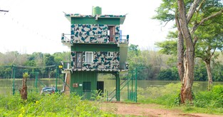 Stay amidst wild animals in Masinagudi to feel the pulse of nature