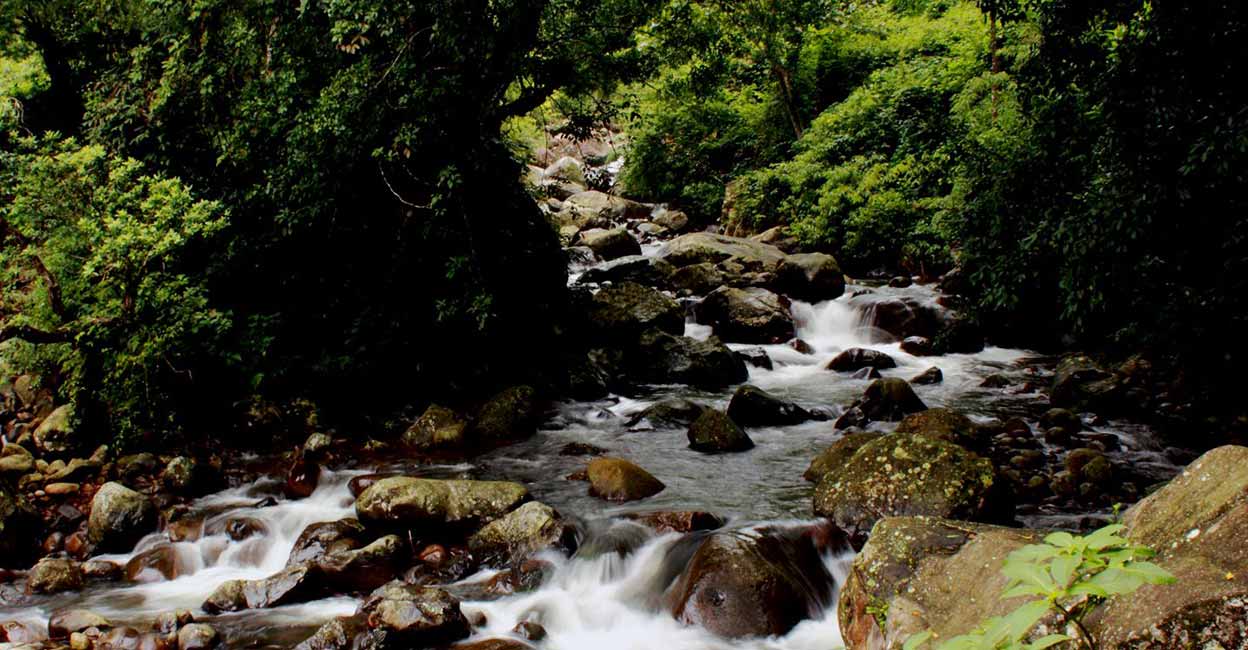 O’Valley in Tamil Nadu beckons travellers with pristine natural beauty A river flowing through O'Valley. Photo: Wikimedia Commons/Justinjohngdr
