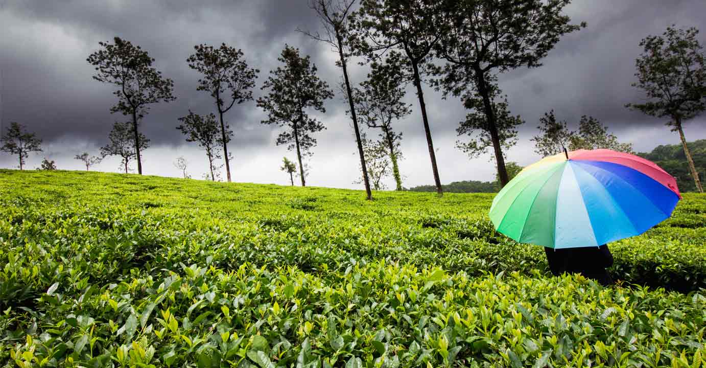 Experience the best of monsoon at these 8 spots in India