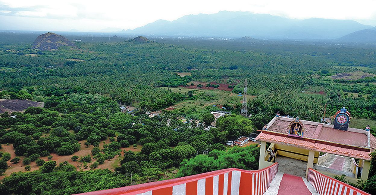 A walk through the ‘Pushpa’ village on Tamil Nadu-Kerala border A walk through the ‘Pushpa’ village on Tamil Nadu-Kerala border