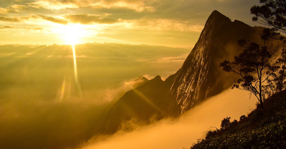 Shutterstock/ DivyaN