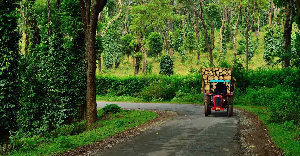 Coorg Tractor carrying timber through coffee and pepper plantations in coorg. Photo: Shutterstock/Shivam Maini