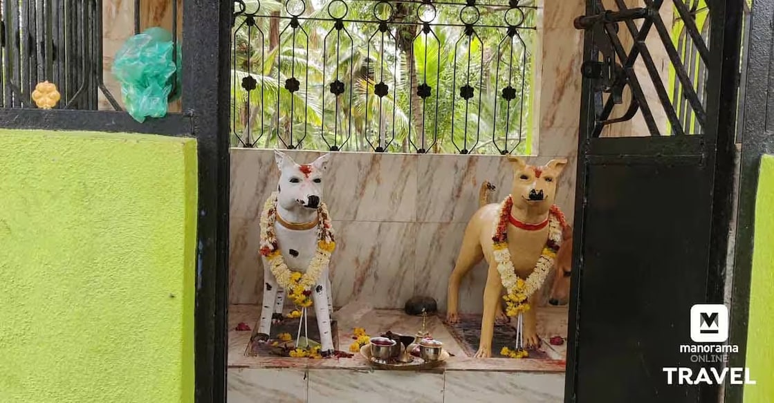 The ‘Dog Temple’ is situated in the sleepy small hamlet of Agrahara Valagerahalli, which is 14km away from Channapatna. Photo: Manorama