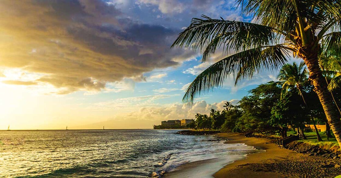 The island experienced a major wildfire on August 8. Photo: Shutterstock/TravisHoppe3781