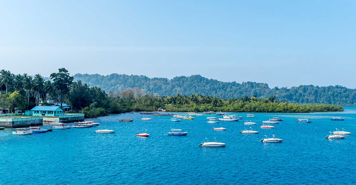 There is a six-day package and a daily tour package to the Andaman and Nicobar Islands that tourists can consider and book on the IRCTC website. Photo: Shutterstock/mrinalpal