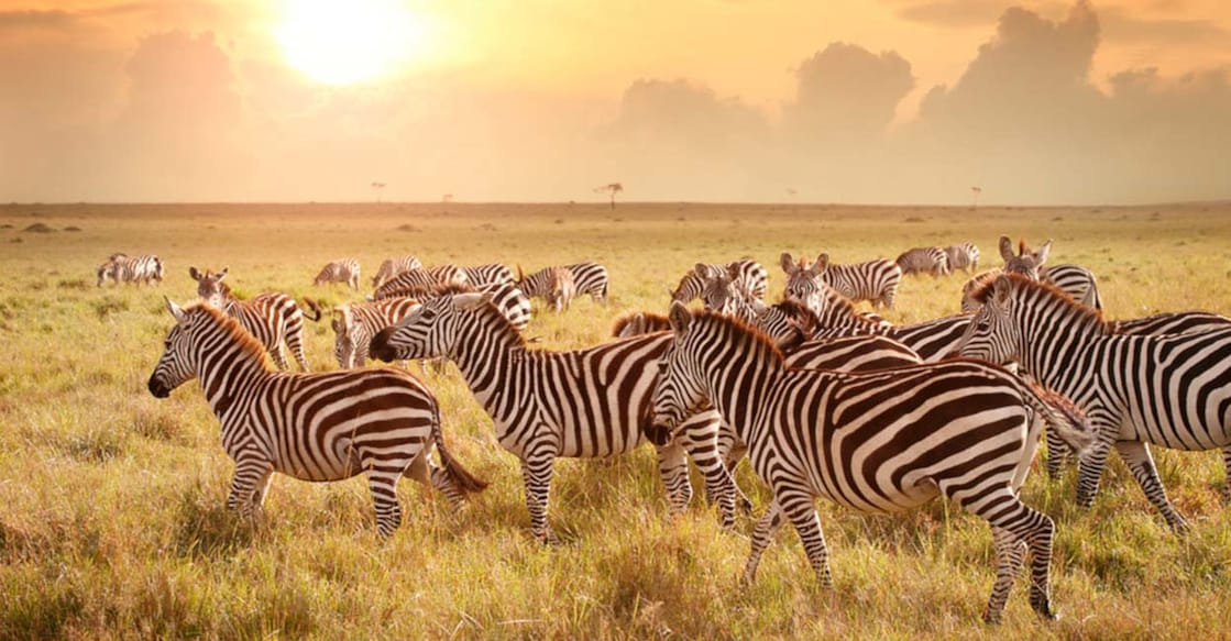 Kenya is known for its scenic landscapes, wildlife, and Indian Ocean beaches and has renowned tourism spots like Samburu National Reserve, Diani Beach, Amboseli National Park, Manda Bay, The Great Rift Valley, Lake Victoria, and Mt Kenya. Photo: iStock/narvikk