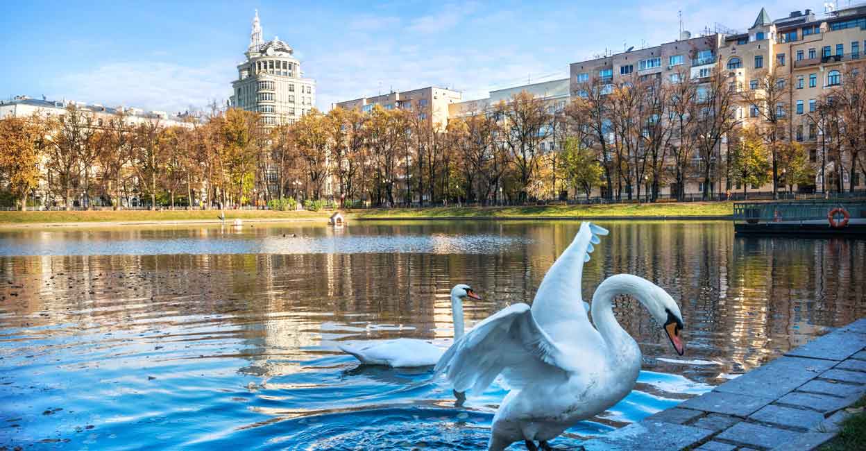 2231001207 Locals call the picturesque Patriarch Ponds 'Patriki.' Photo: Baturina Yuliya