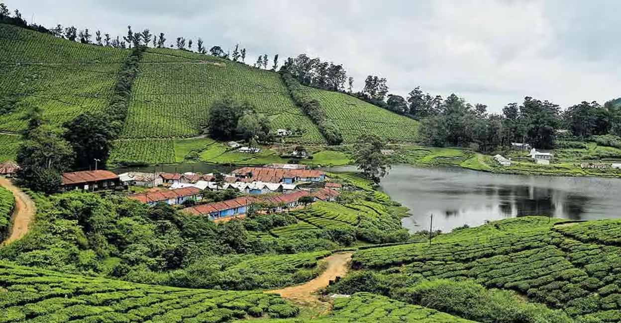 You could reach Meghamala by travelling fifty kilometers from Chinnamannoor in the Theni route via Kattapana – Kambam. Photo: Reju Arnold