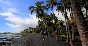 Ever been to a black sand beach? Discover these stunning inky shores in India