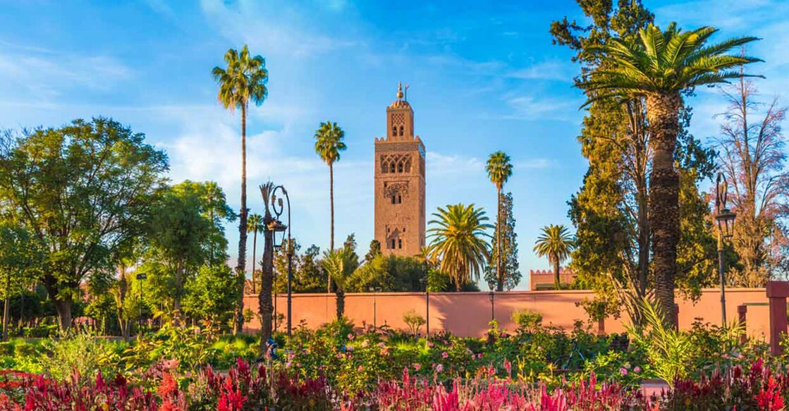 Animal lovers and animal welfare organisations across the globe have been demanding FIFA to intervene in the matter. Photo: iStock/Balate Dorin