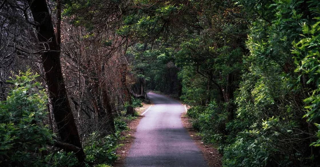 Kinnakorai is just 60 km from Ooty. Photo: iStock/Mohammed Riyas