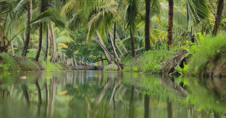 Exploring the village life around Munroe Island | Responsible Tourism ...