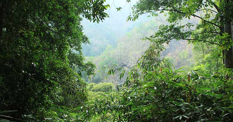 A trek to discover and explore the Rainbow Waterfalls A trek to discover and explore the Rainbow Waterfalls
