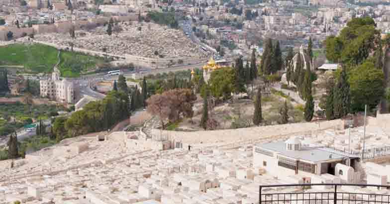 view-from-olive-mountain view-from-olive-mountain