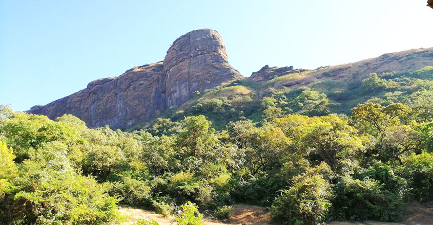 harihar-fort-9