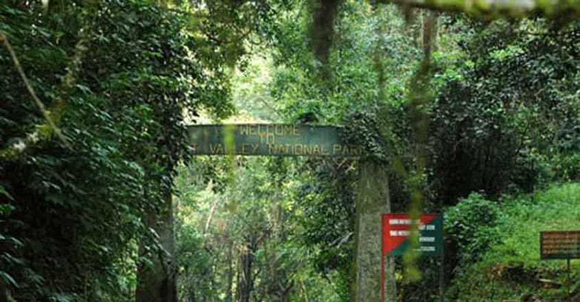 A vast, green canopy of silence A vast, green canopy of silence