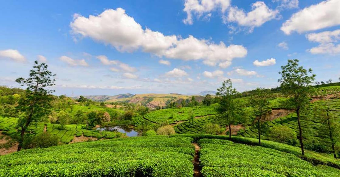 Take a refreshing trip to the heady Elappara village in Idukki