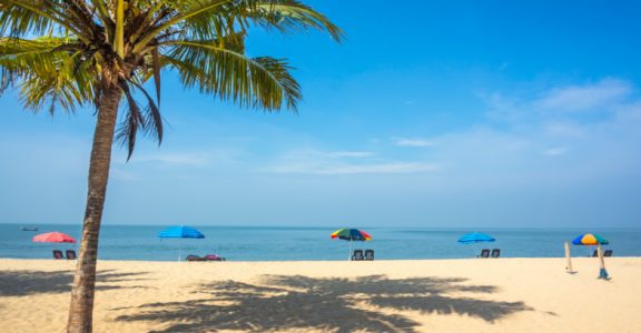 The unique charms of sights and tastes around Alappuzha The unique charms of sights and tastes around Alappuzha