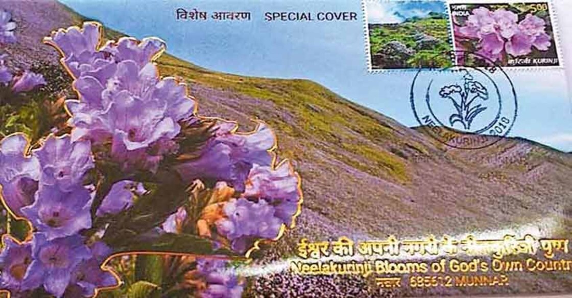 Neelakurinji season awaits Navratri visitors