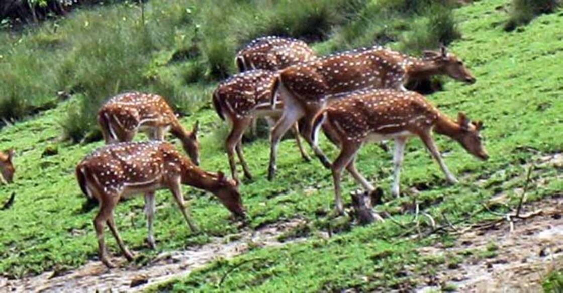 Uninhabited island in Odisha ready to host tourists