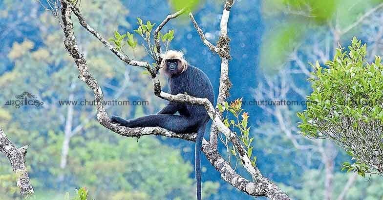 After Central budget, Gavi Tourism set for a makeover After Central budget, Gavi Tourism set for a makeover