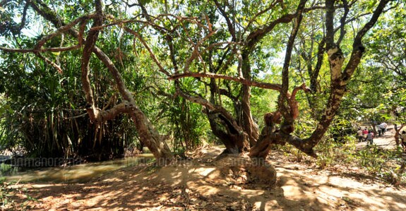 Kuruva Island Kuruva Island