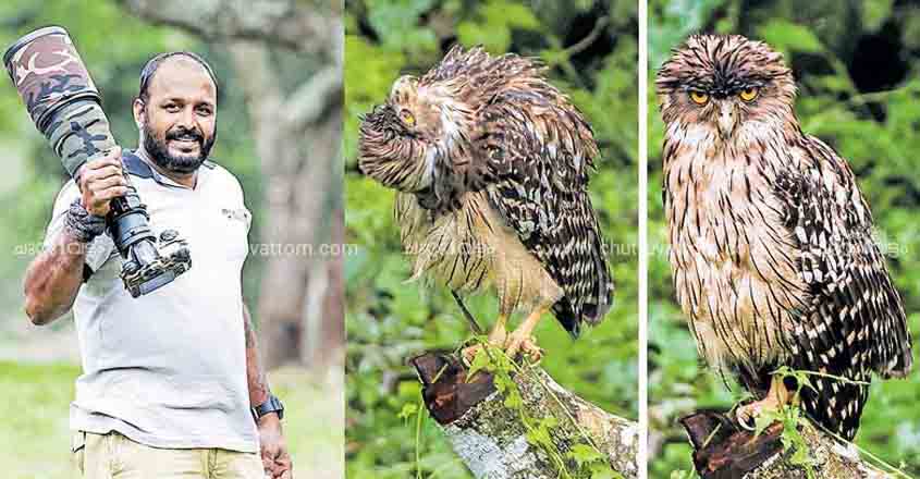 Owls cast a spell on Kerala lensman | V C Shoby | photographer | wild ...